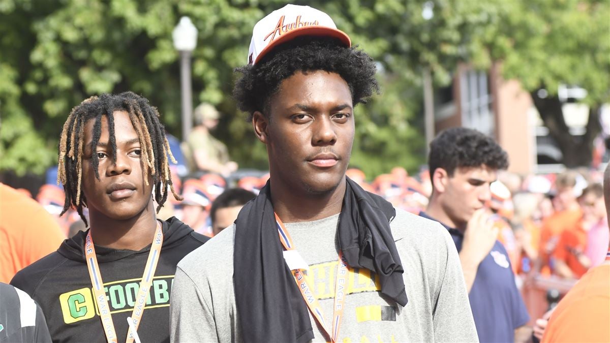 放眼未来 放眼未来